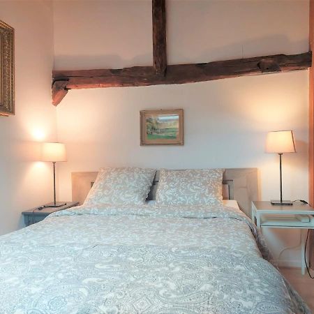 Chalet Charm In The Heart Of The Old Town Annecy Luaran gambar