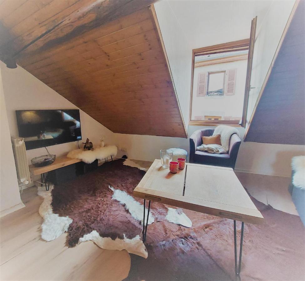 Chalet Charm In The Heart Of The Old Town Annecy Luaran gambar
